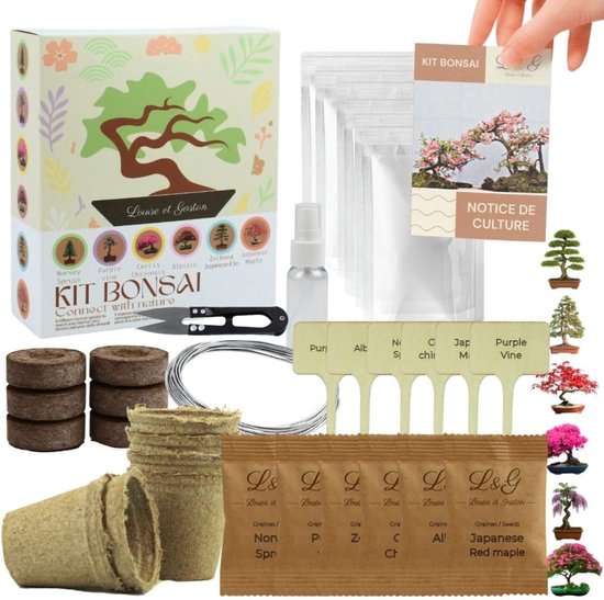 Bonsai Starters Kit - 6 Bonsai Soorten - 34 Delig - Met Gereedschap - Met Uitgebreide Instructies - Bonsai Zaden Kit - Binnen Boompje Kweken - Kamerplanten - Kweekset Kerstcadeau - 6 Biologisch Afbreekbare Potten