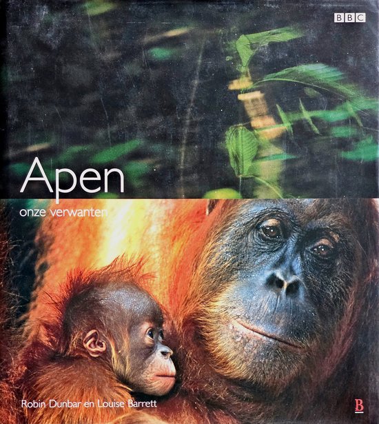 Apen