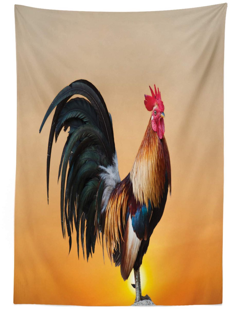 ABAKUHAUS Tafelkleed – haan op de boerderij – 140x240 cm – satijnmix, multicolor