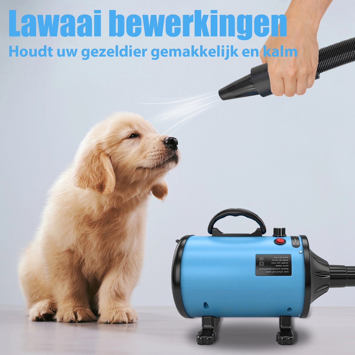 Yongkang Hondenhaardroger 2000 Watt Superstil - afbeelding 3