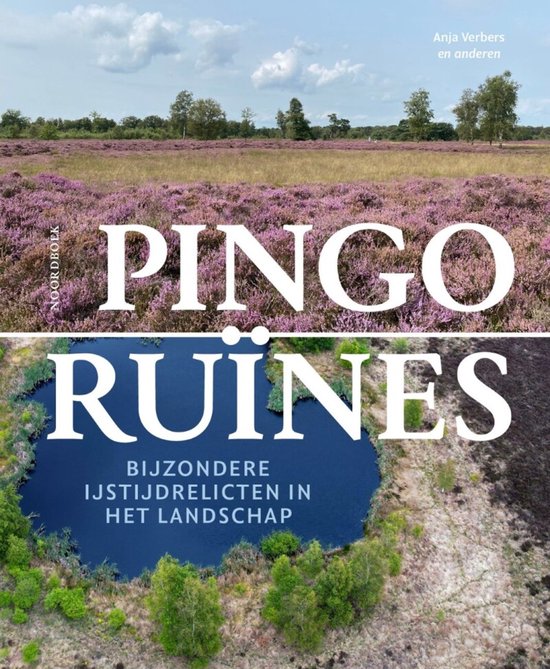 Pingoruïnes - cover