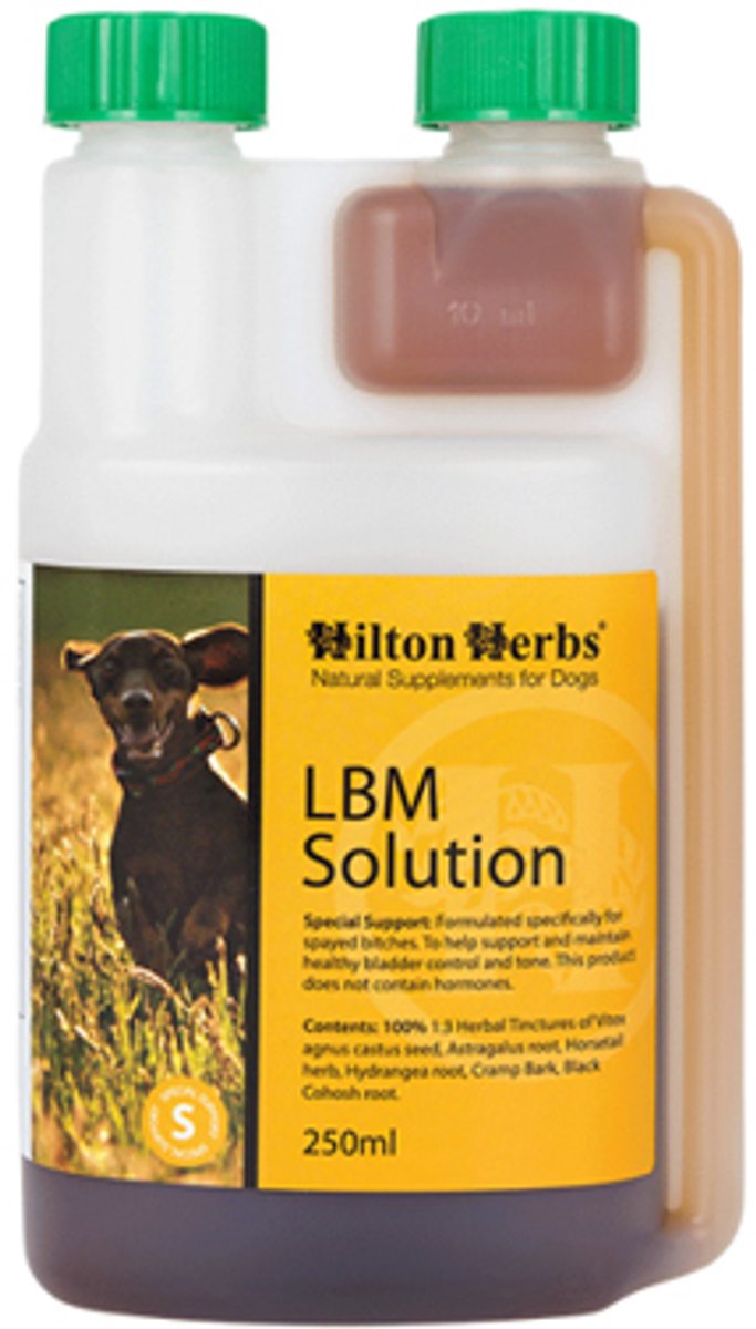 Hilton Herbs LBM Solution for Dogs - 250 ml