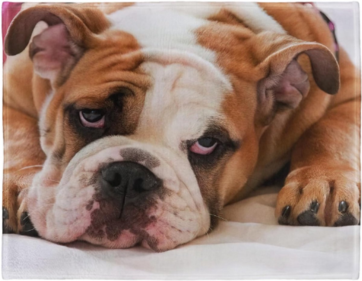 BOG Zachte Fleece Deken - English Bulldog - 125 X 150Cm - Plaid Voor Bank Of Bed HOND