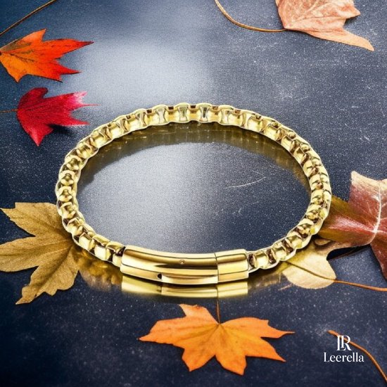 Gouden schakelarmband met doosketting, 6mm breed, op donkere achtergrond met herfstbladeren.