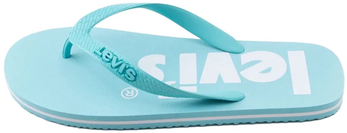 Levi´s Footwear Dixon Poster Slippers Blauw EU 39-40 Man