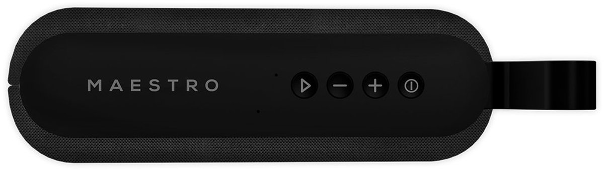 Maestro Ellipse Premium Edition Speaker