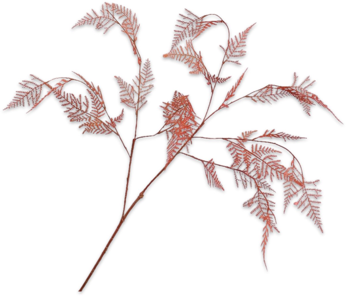 Silk-ka Asparagus tak oranje/bruin 113 cm