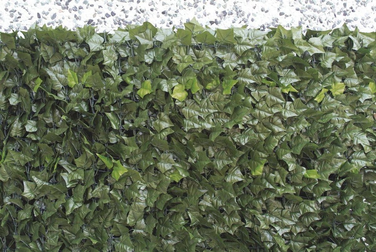 Kunsthaag Klimop 1,5 x 3 m voor Tuin en Balkon