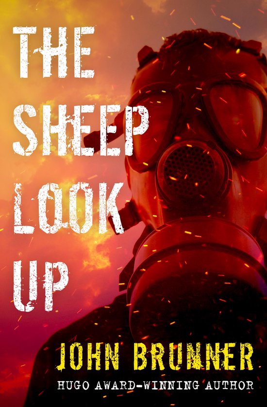 The Sheep Look Up