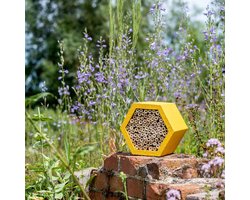 CJ Wildlife Insectenhotel - Matias - Rond Bijenhotel - Insectenhuis voor o.a. Bijen, Hommels & Lieveheersbeestjes - Bijenkast met Vervangbaar Bamboe Huisje - Geel
