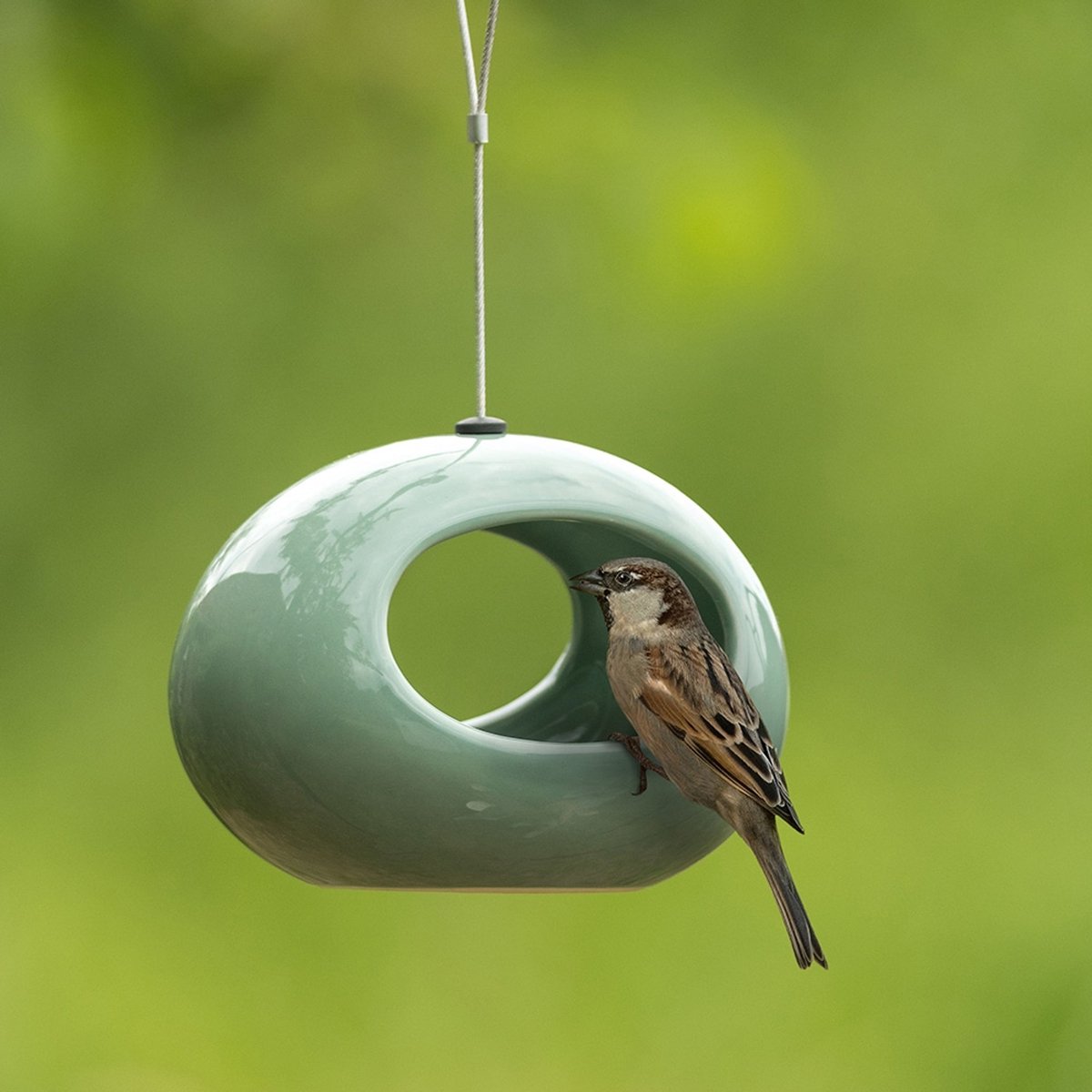 Bol.com CJ Wildlife Vogeldrinkschaal voor Tuinvogels - Selo - Waterschaal voor Buiten - Keramische Drinkschaal - Hangend - Groen aanbieding