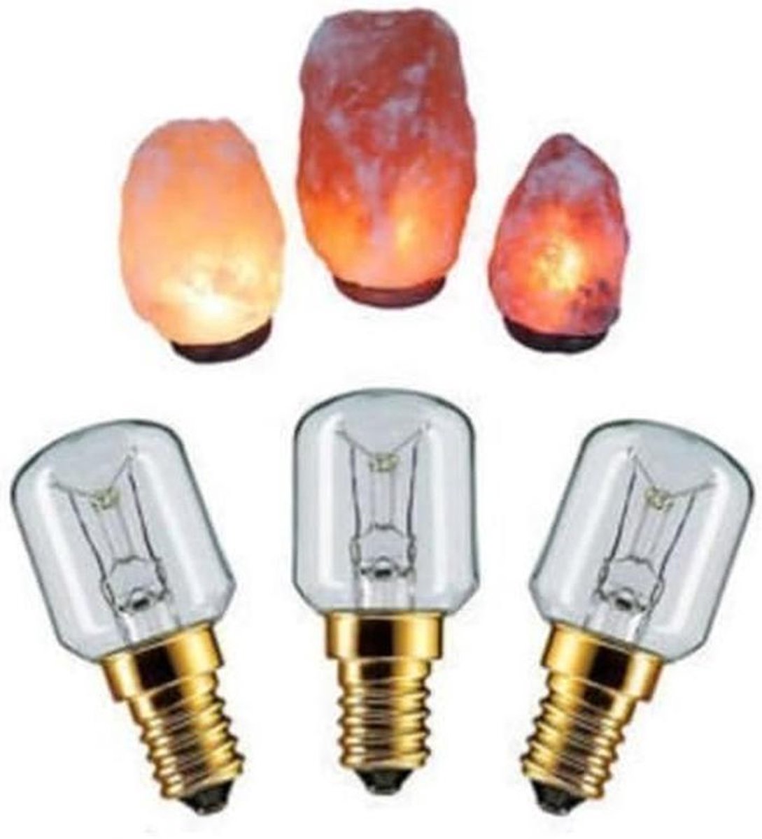 Zoutlamp Gloeilampen - 3 Stuks - 15W E14 Fitting - Kleine Lampjes voor Koelkast of Oven
