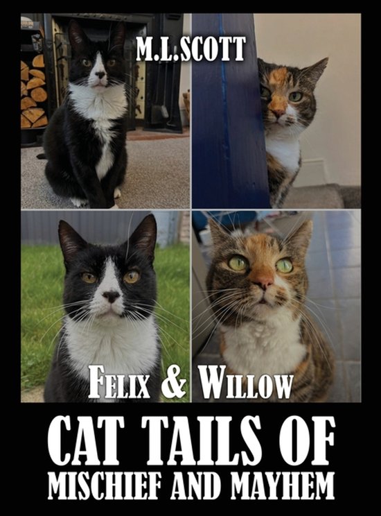 Felix & Willow cat tails of mischief and mayhem - cover