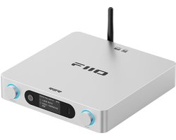 FIIO BR15 R2R Zilver