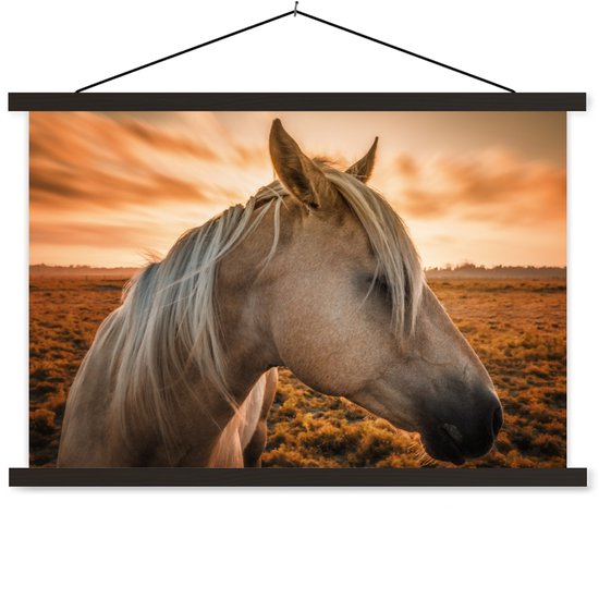 Paardenportret met gouden manen tegen oranje zonsondergang. Schoolplaat. Afmetingen 120x80cm.