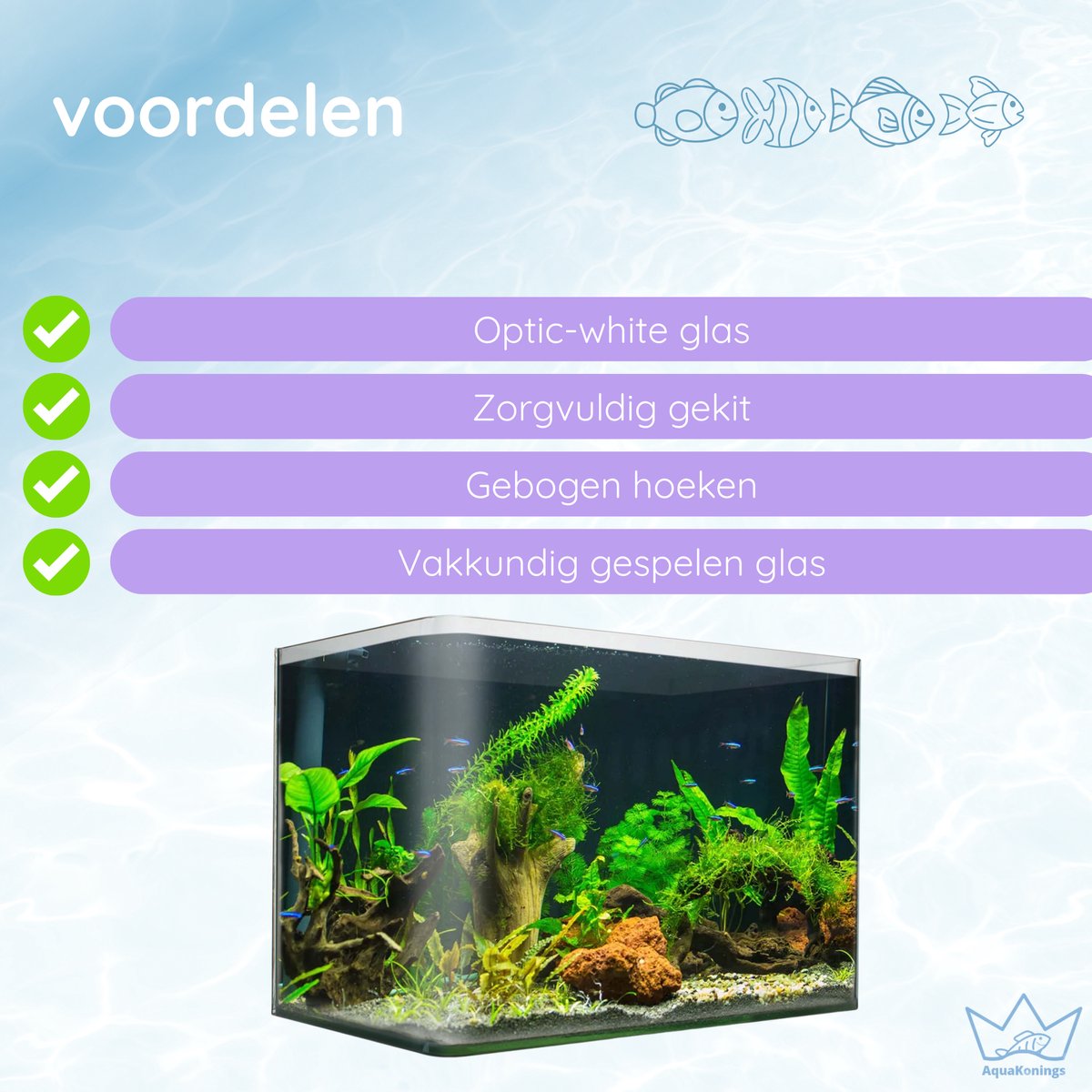 AquaKonings aquarium 40L thumbnail 2