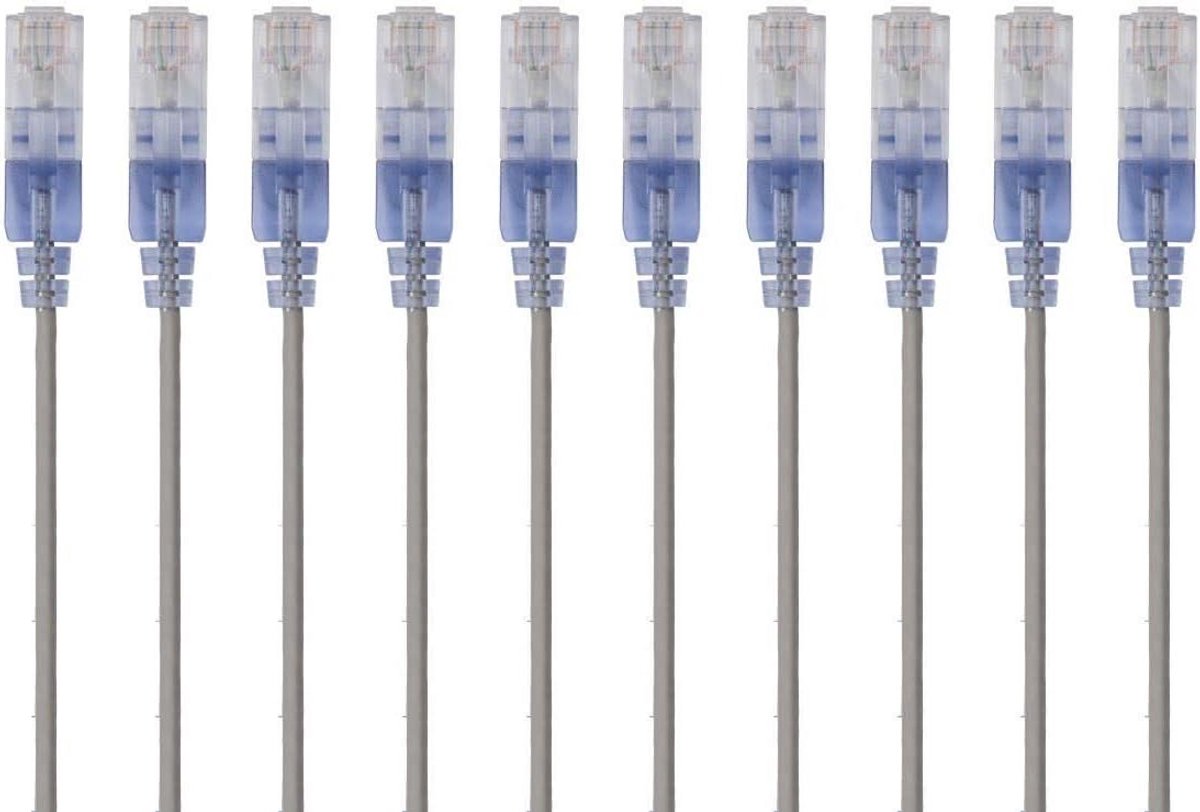 10x Dunne Cat6A Ethernet Kabel 30AWG 10Gbps UTP Patchkabel Kort (30cm) Grijs