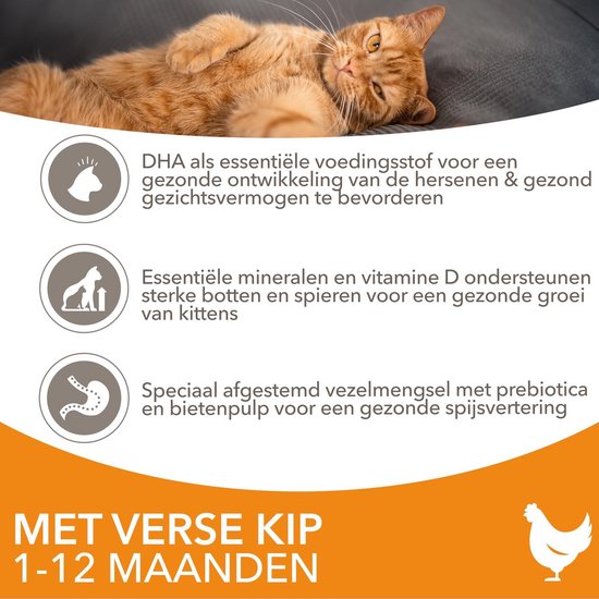 45 Paasrecepten & gerechten voor kinderen; met hapjes, vlees en