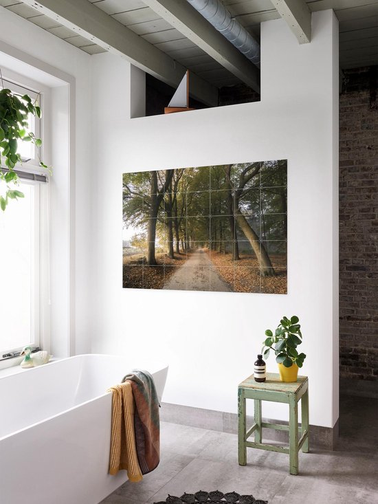 IXXI Autumn Forest Lane, Claire Droppert - 80 x 60 cm - Support d'accrochage gratuit - Grande décoration murale et posters - Réalisme, Photographie, Naturalisme