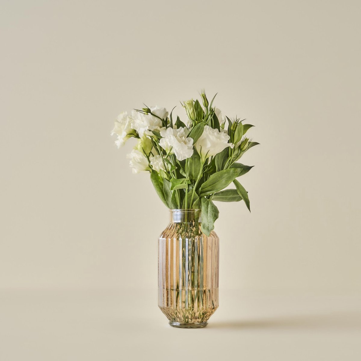 Nilda Cam Natuurlijke Vaas (12x23 cm) - 2 stuks