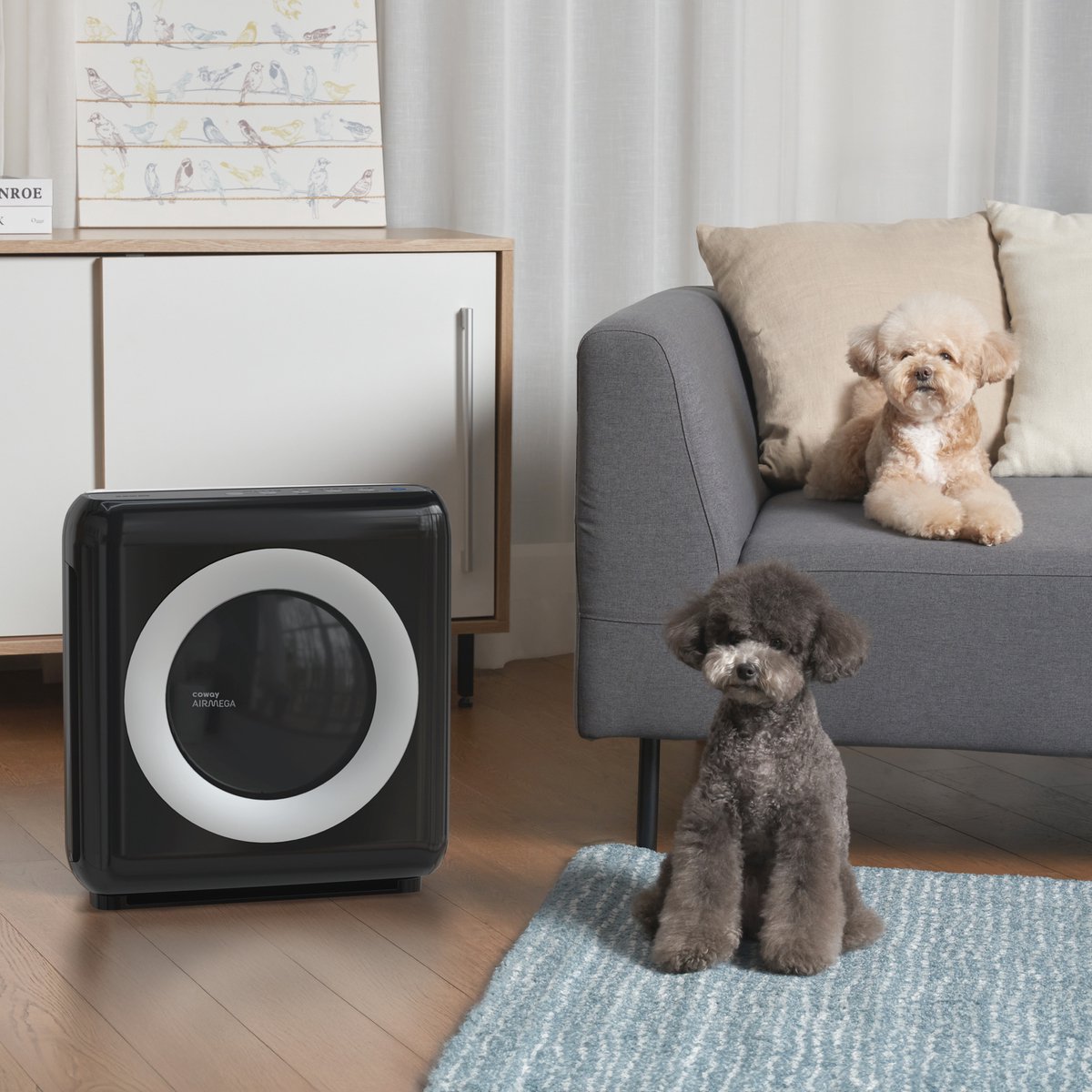 Coway ap-1512hh MIGHTY Luchtreiniger - Air Purifier - 421 m³/u - Wasbaar pre-filter + HEPA filter + geurfilter - Tegen stof, pollen, allergenen en huisdieren - Fluisterstil met slaapstand - Wirecutter Top Pick - Zwart — afbeelding 6