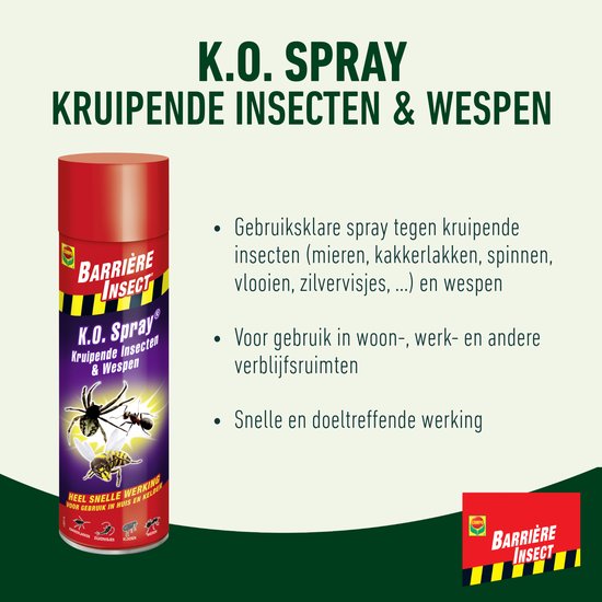 senf saatgut kaufen Gelbsenf main image 0