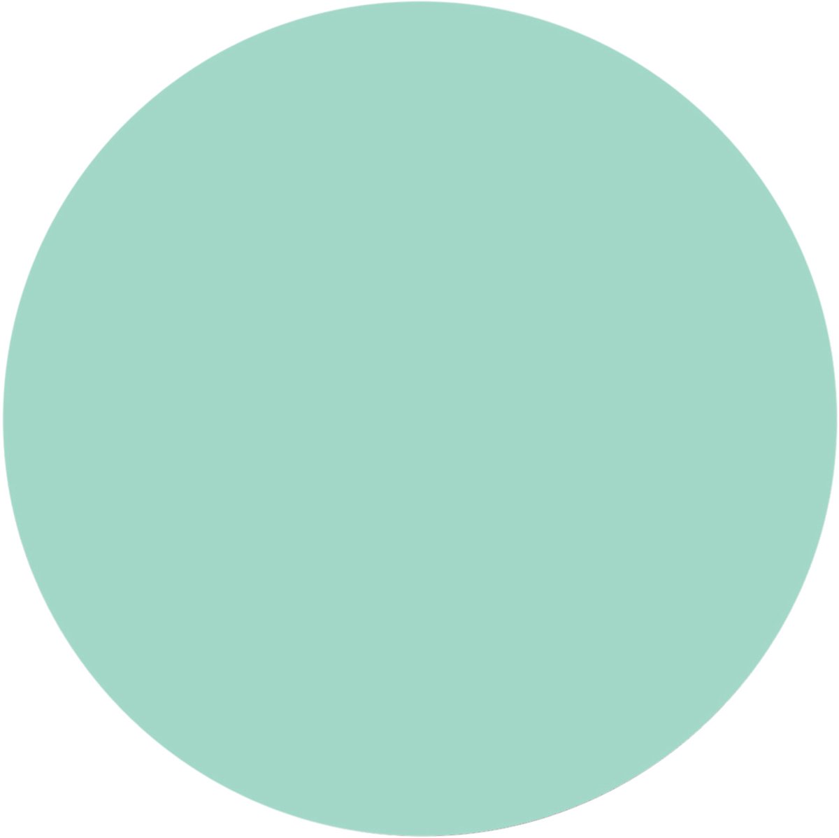 Groovy Magnets Cirkel Magneetsticker - Mint