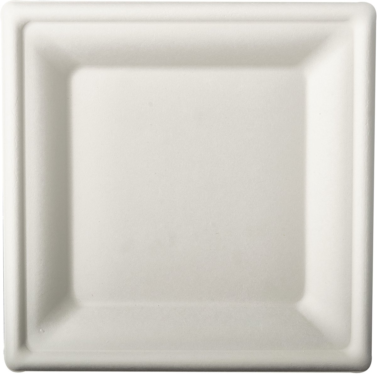 Suikerriet lunchbordjes - 24x stuks - 20 cm - wit - biologisch afbreekbaar - Wegwerp bbq / verjaardag bordjes