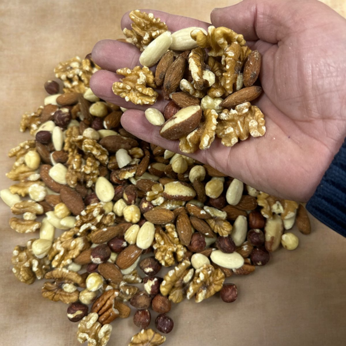 AviCentric-Notenmix - Ara noten - HyacintMix - 1KG - Naturel-ongezouten