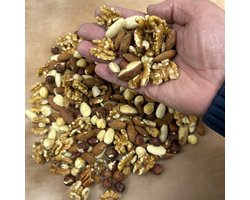 AviCentric-Notenmix - Ara noten - HyacintMix - 1KG - Naturel-ongezouten