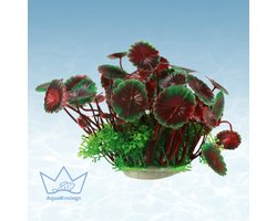 AquaKonings - Aquarium decoratie - Aquarium kunst planten - Nepplanten - Kunstplant -Lelie donkerrood - 20x16x11