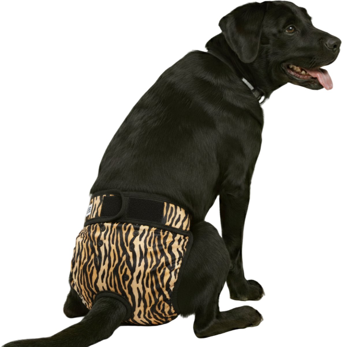 Loopsheidbroekje hond - tijger - maat XL - voor grote honden - herbruikbaar - hondenbroekje - hondenluier - loopsheid - ongesteldheid - voorkomt ongewenste zwangerschappen bij teefjes - milieuvriendelijk - verantwoord - perfecte pasvorm