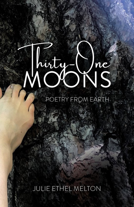 Thirty-One Moons - cover