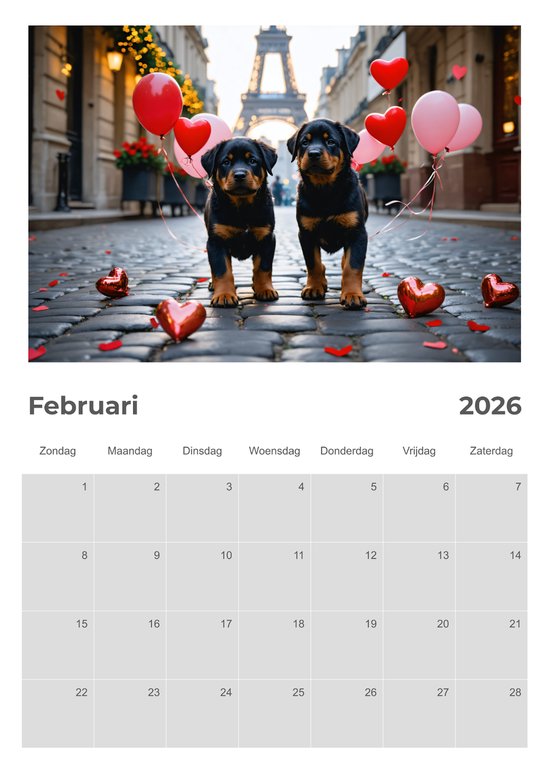 Rottweiler Calendar 2026 Square Dog Breed Wall Calendar - 16 Month Rottweiler Calendar 2026 Square Dog Breed Wall Calendar - 16 Month