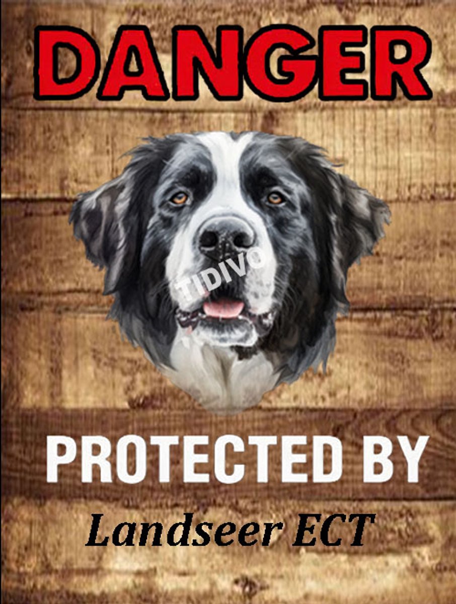 Landseer ECT 19