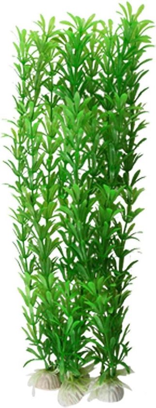 Hojas de Catappa - pack de 10 unidades - Aquarium Beauties