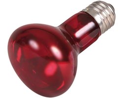Infrarood Warmtevleklamp 35 Watt voor Reptielen