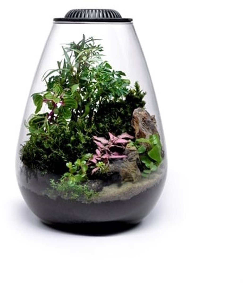 Wabi Kusa Bio Bowl 175