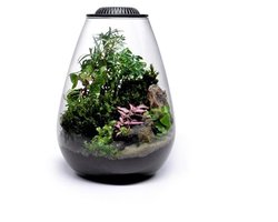 Wabi Kusa Bio Bowl 175