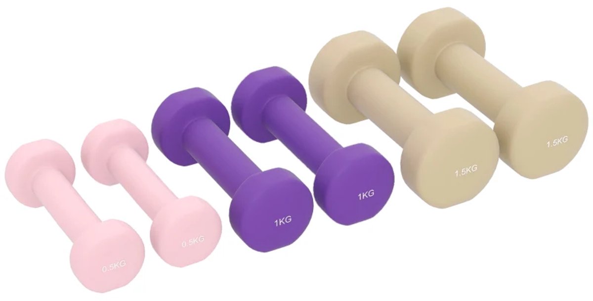 Halterset - 6-delige Set Halters met Koffer - Gewichten - Dumbells set van 6 Halters - Gewichten Fitness - 2 x 0,5 kg, 2 x 1 kg, 2 x 1,5 kg - Halter set voor Krachttraining, Workout, Gym