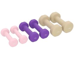 Halterset - 6-delige Set Halters met Koffer - Gewichten - Dumbells set van 6 Halters - Gewichten Fitness - 2 x 0,5 kg, 2 x 1 kg, 2 x 1,5 kg - Halter set voor Krachttraining, Workout, Gym