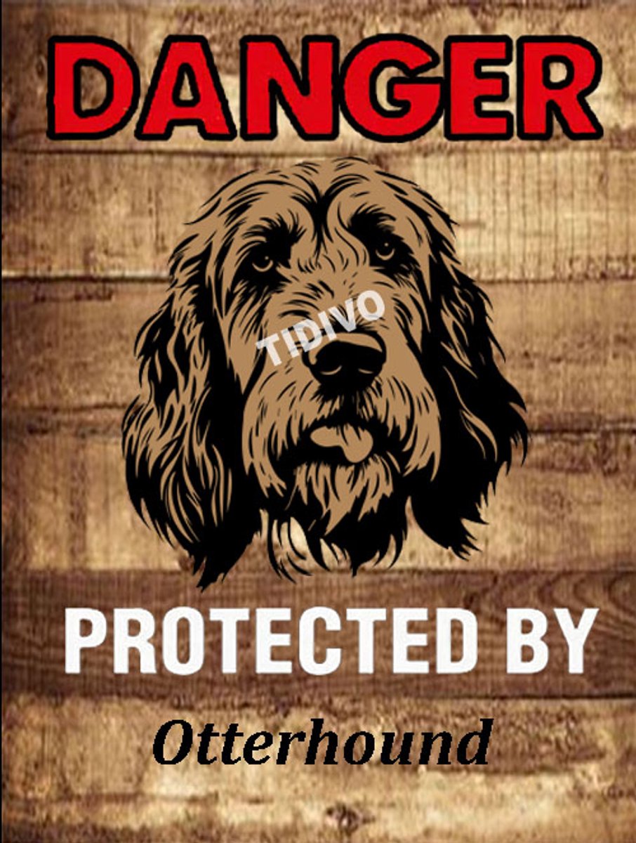 Otterhound 19
