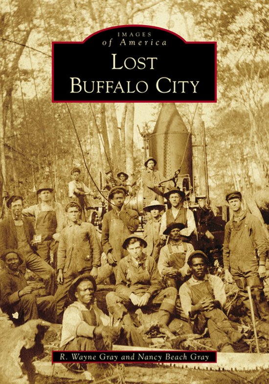 Lost Buffalo City - cover