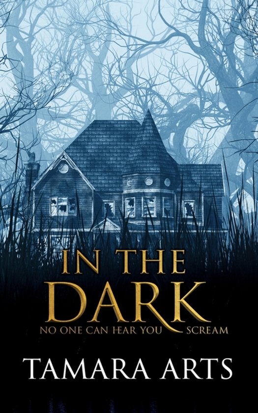 In the Dark - cover