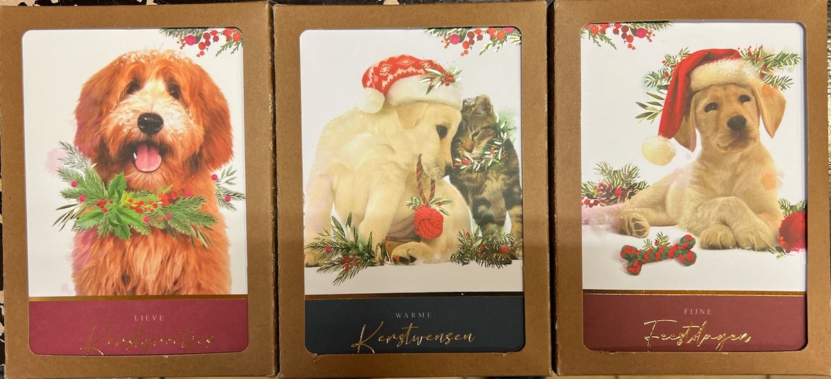 Kaarten - Kerst - Christmas companions - CA.0001