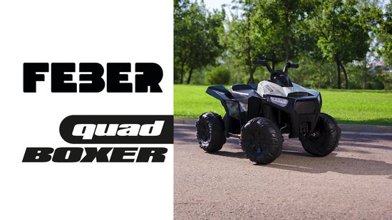 Feber Quad Boxer