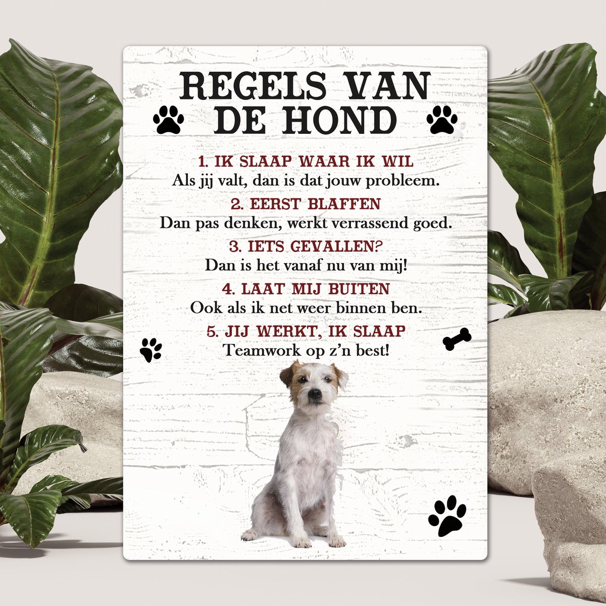Spreuken - Jack Russel Ruwharig - Regels Van De Hond - Spreuken Bordjes - Spreukenbord - Tekstborden - Cadeau - Hondenras