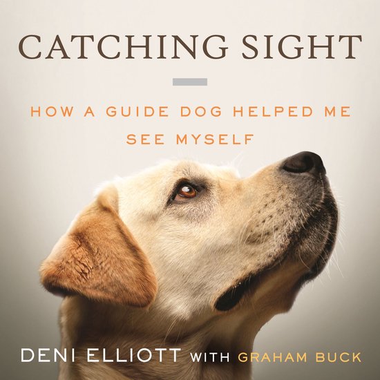Catching Sight - cover
