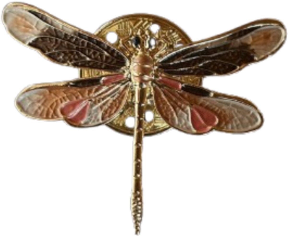 Fashionclip®- Magneet - Broches - Magneetsluiting - Magneetbroche - Libelle- Goud - Bruin-