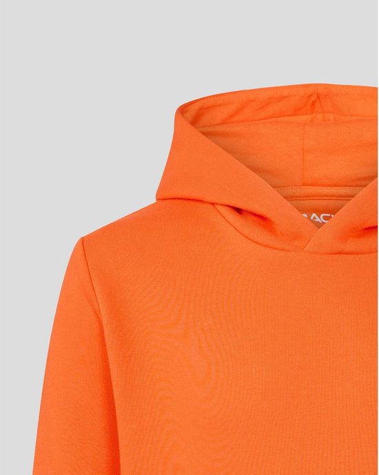 Officiële Formule 1 Kinder Hoodie met Capuchon — afbeelding 2